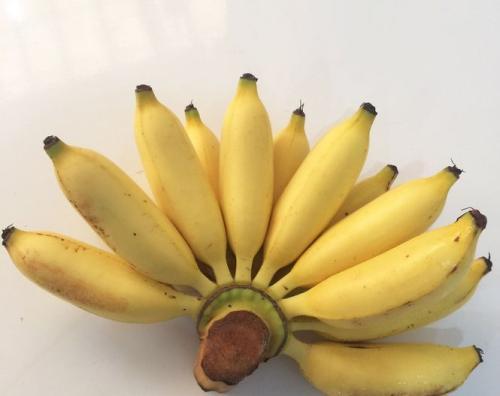 香蕉能喷什么肥料好吃些(香蕉能喷什么肥料好吃些视频)