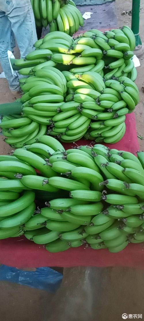 导读：为了便利消费者获得优惠，在网上购买香蕉的批发价格是一个重要因素